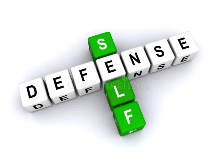 Aid in self defense crossword