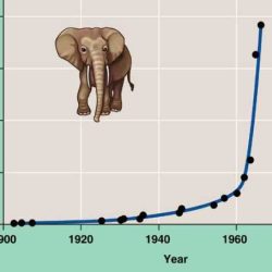 Implications elephants adapted population