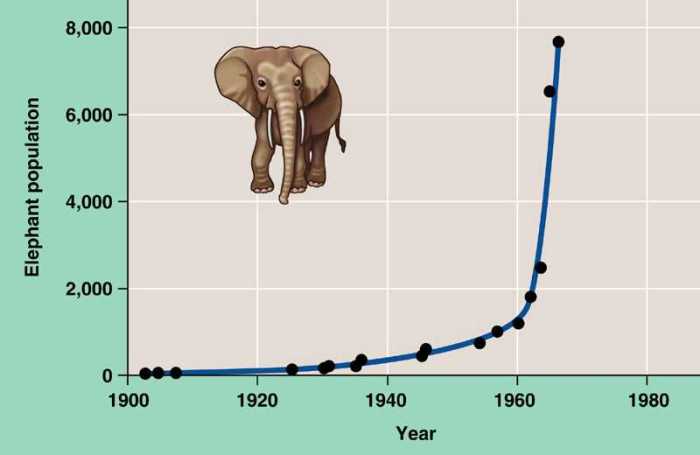 Implications elephants adapted population