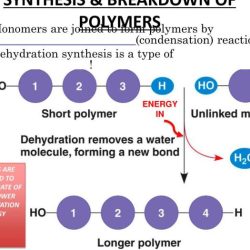 Polymers polymer polyurethane acrylate crosslinked electrolyte chemical conductive pua stable double components highly preparation electrolytes schematic figure